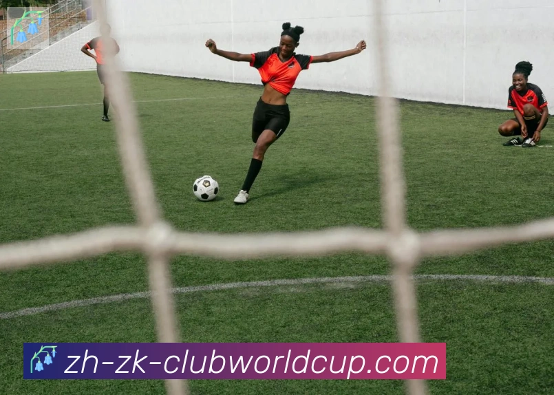 App功能展示图